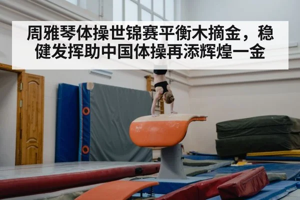 gymnastics training gym